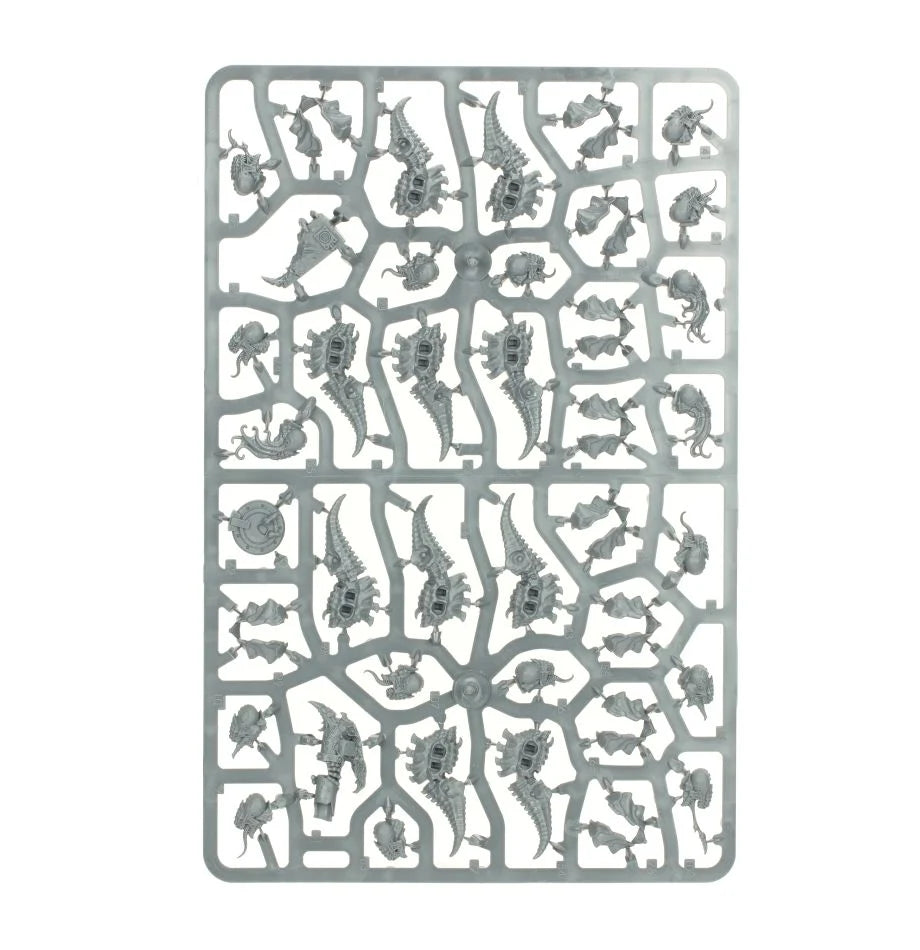 Symbionten
