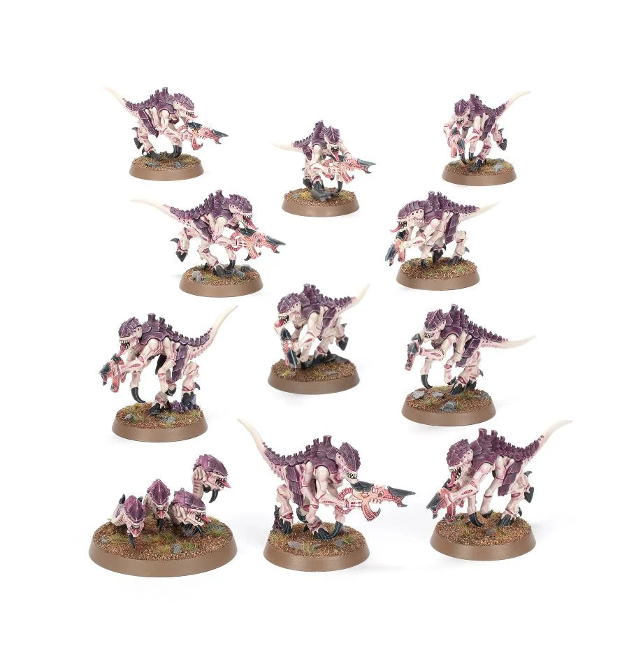 Warhammer 40.000: Einsteigerset