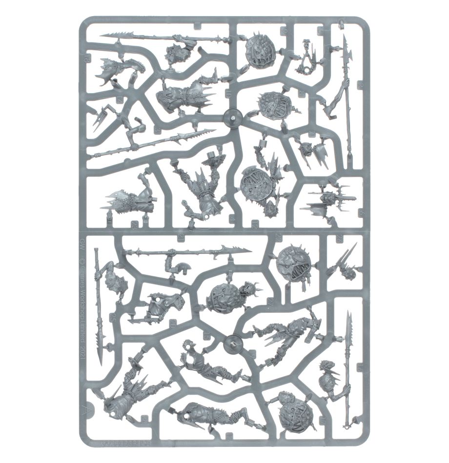 Drachenbanner-Starterset für Warhammer Age of Sigmar (Deutsch)