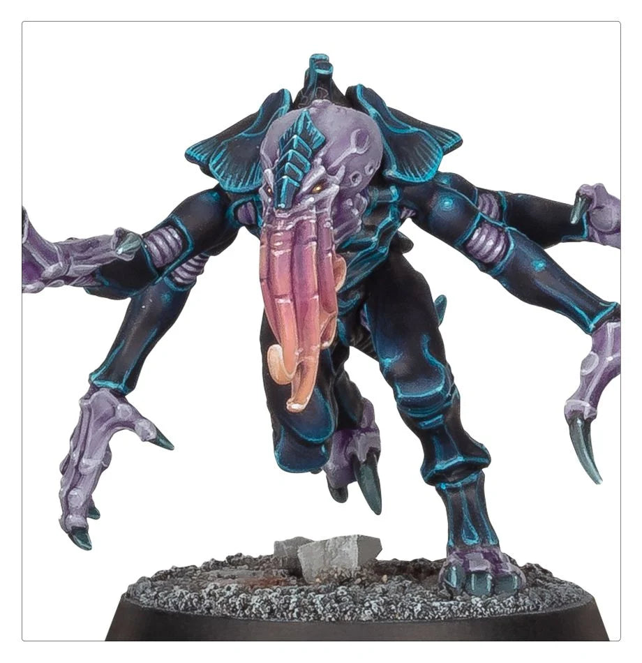Symbionten