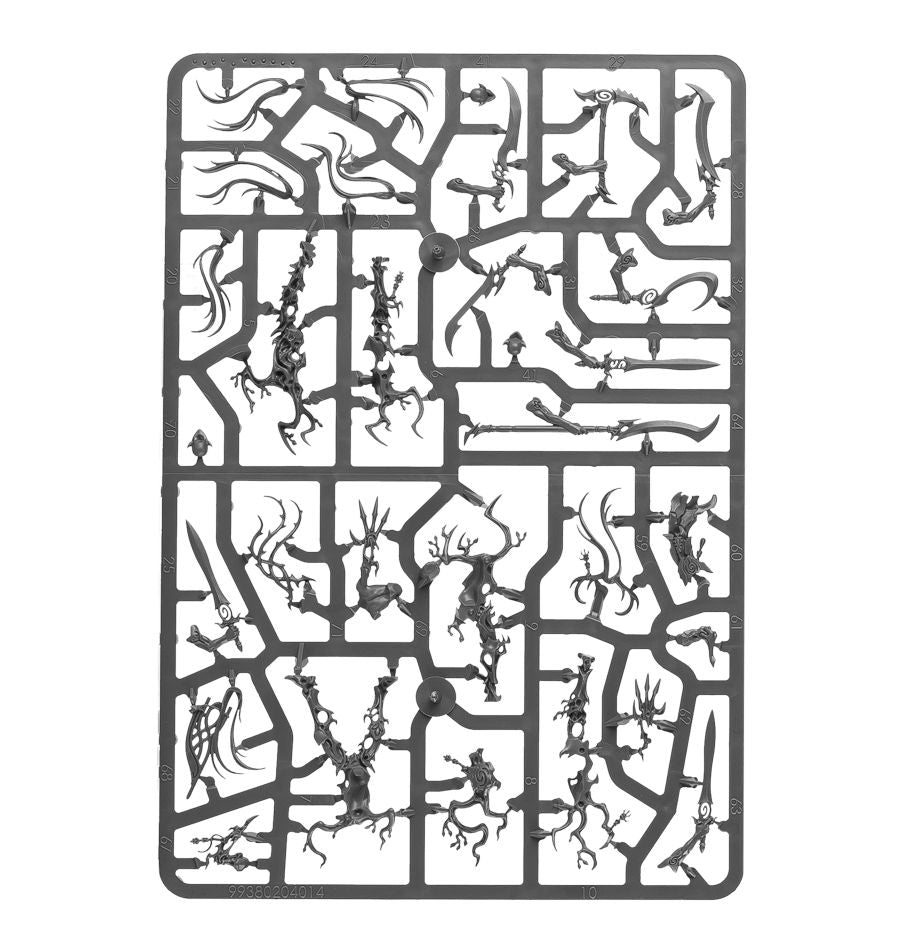 Vorhut der Sylvaneth