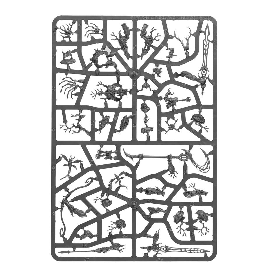 Vorhut der Sylvaneth