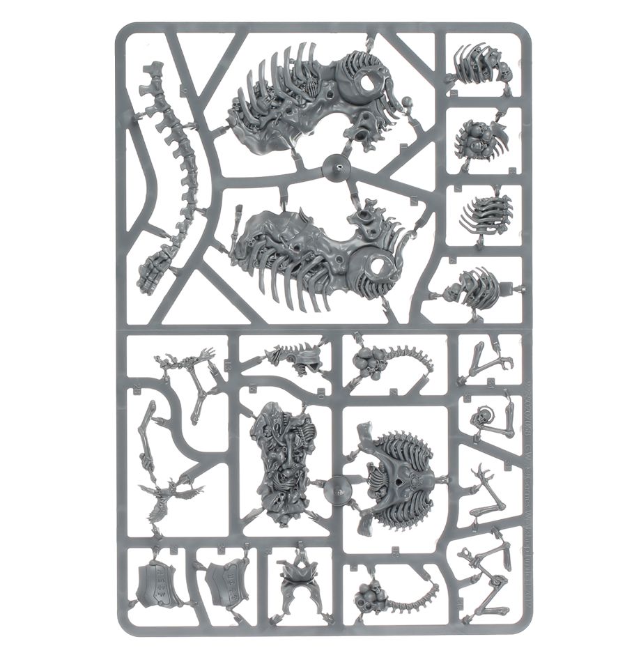 Vorhut der Knochenlegionen der Ossiarch