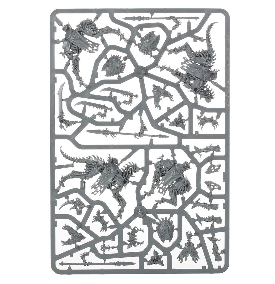 Vorhut der Knochenlegionen der Ossiarch
