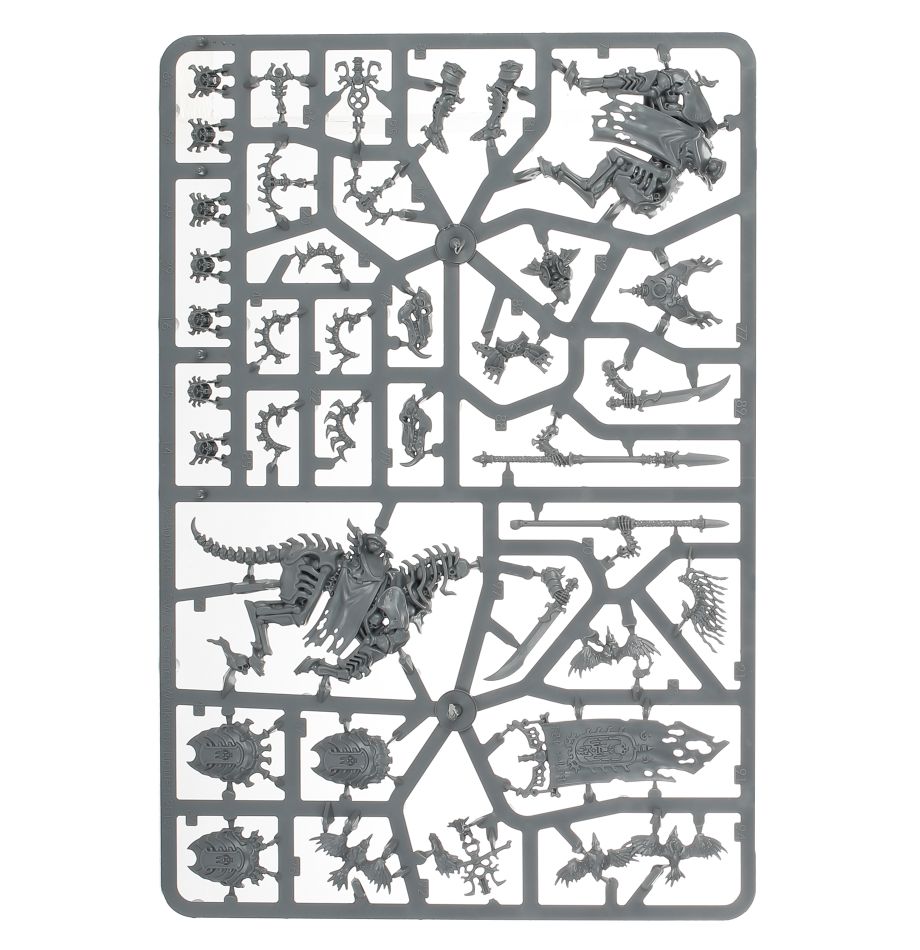 Vorhut der Knochenlegionen der Ossiarch
