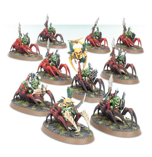 Grot-Spinnenreita