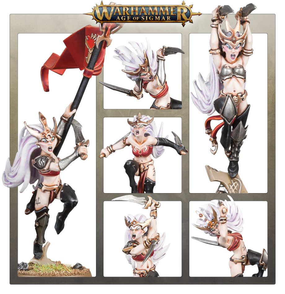 Witch Aelves / Hexenkriegerinnen