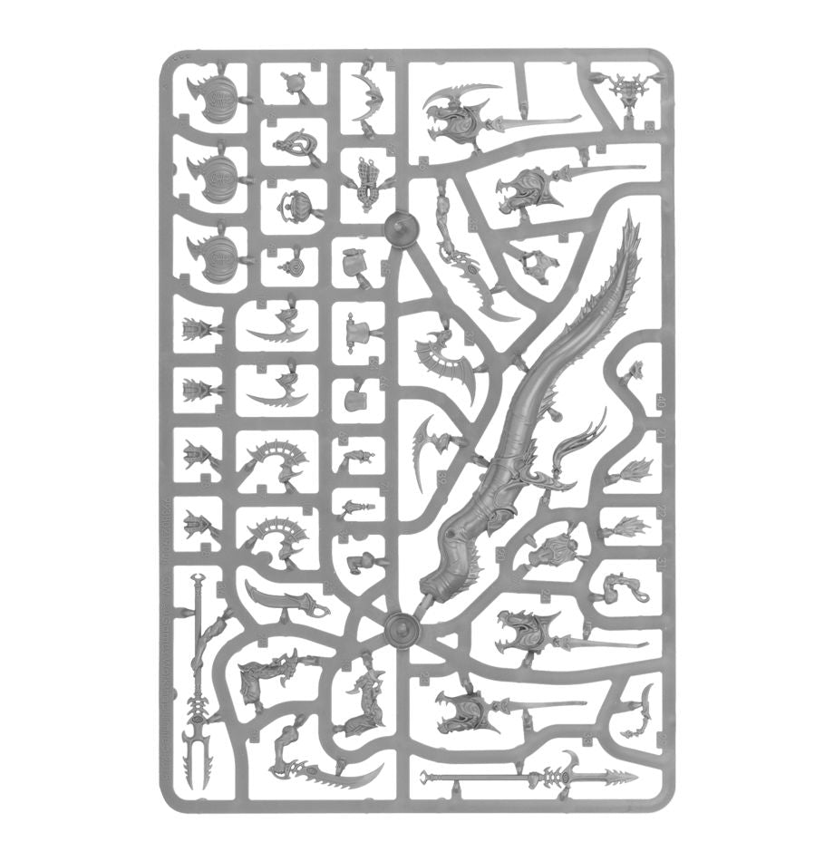 Akhelian Morrsarr Guard