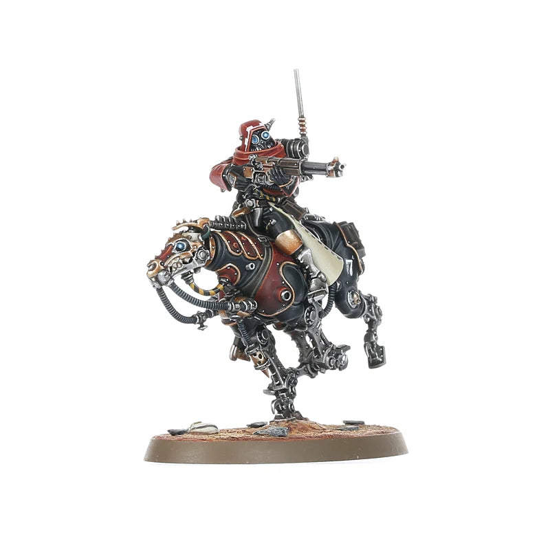 Serberys Raiders