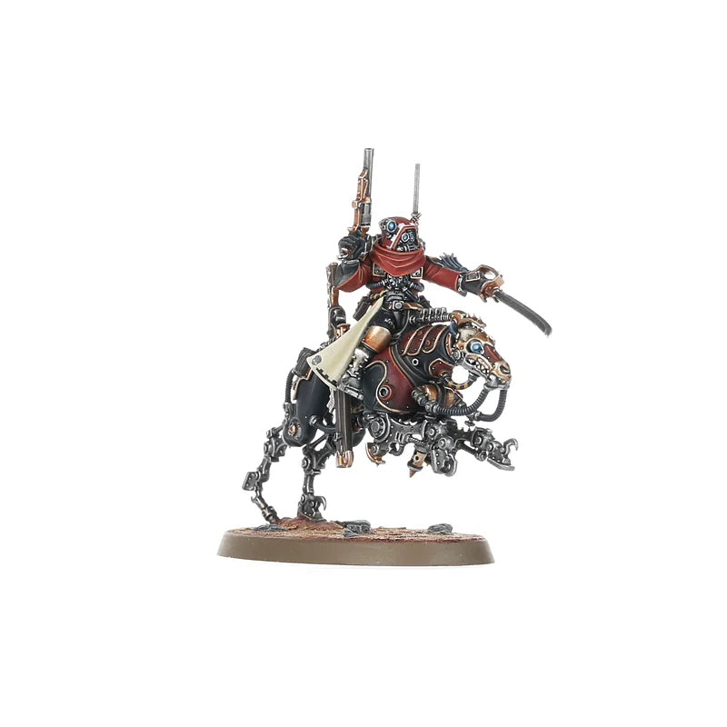 Serberys Raiders