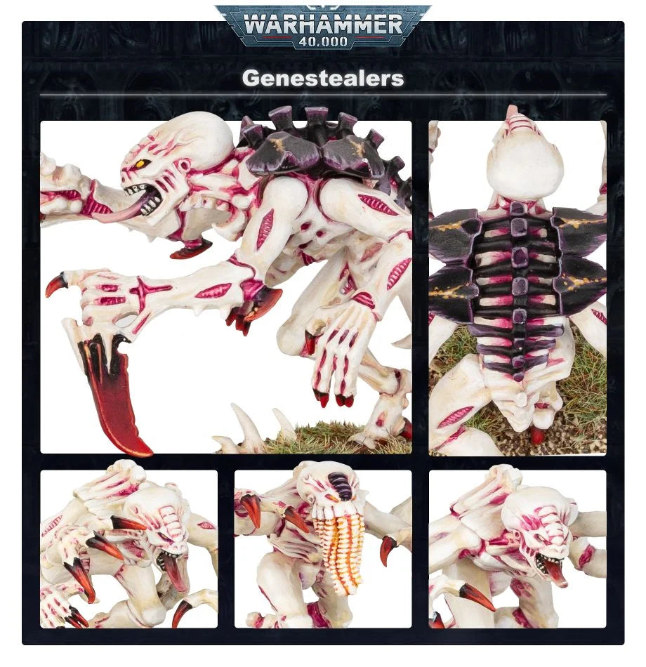 Purestrain Genestealers