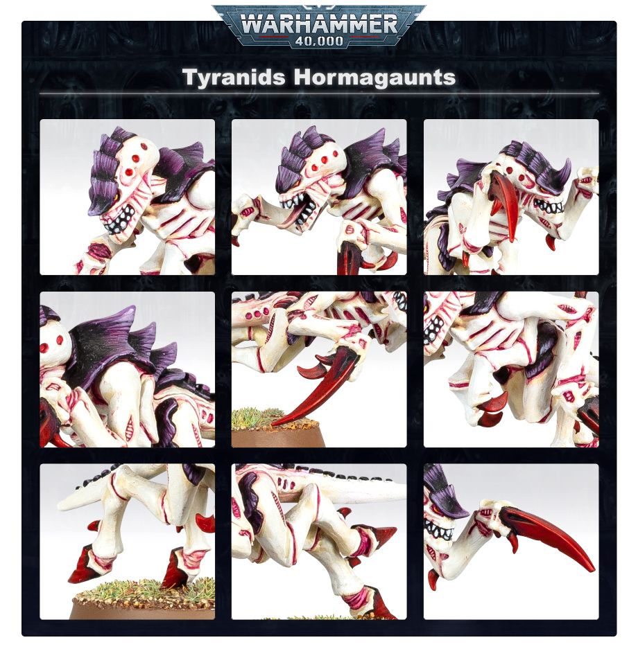 Tyraniden Hormagantenrotte