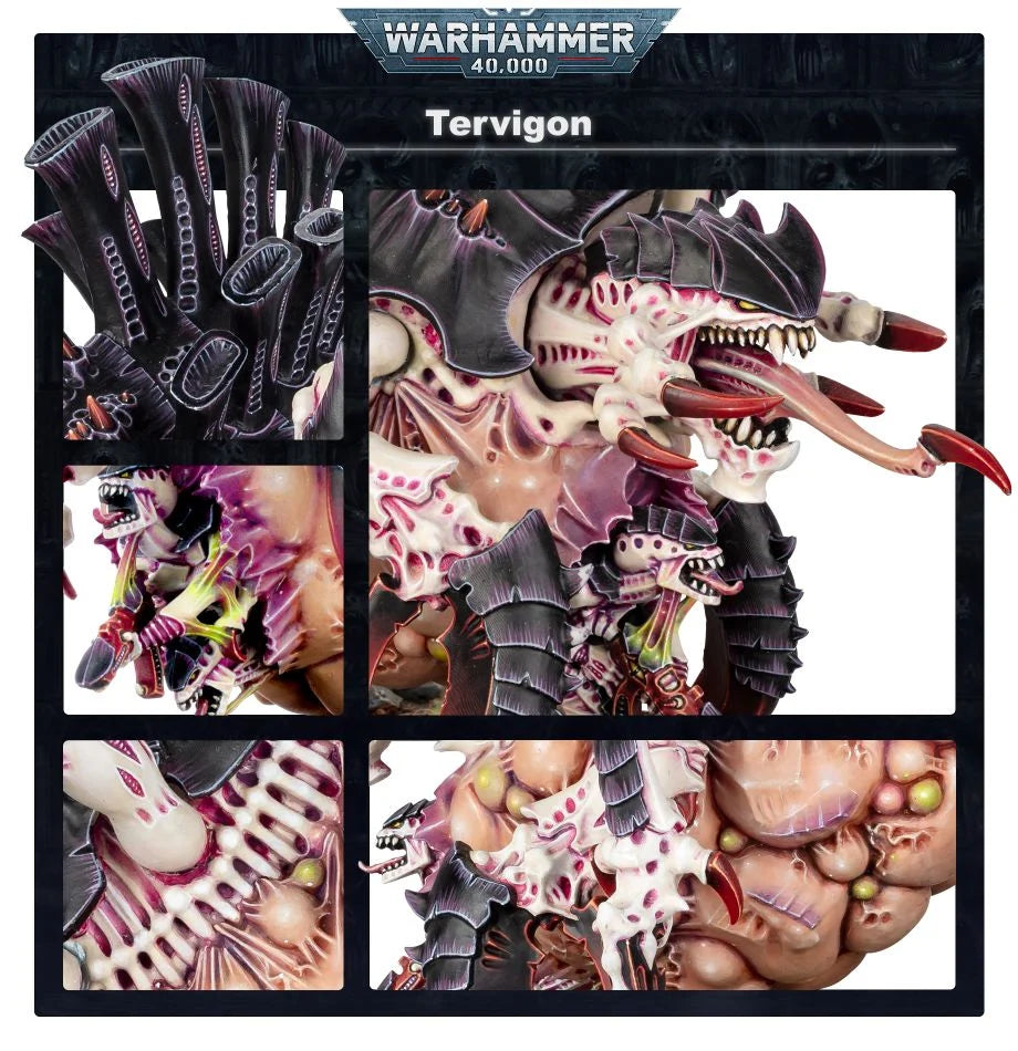 Tervigon der Tyraniden
