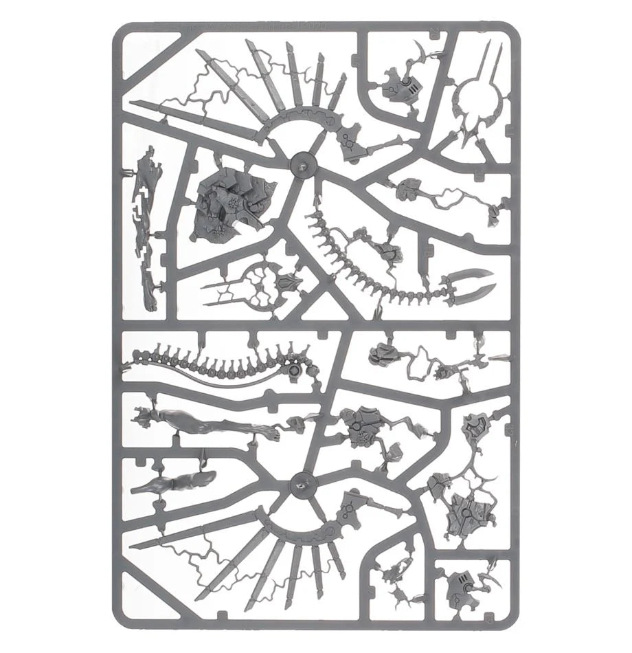 C'tan-Fragment des Drachen