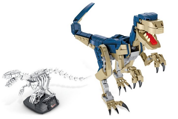 Dinosauria Velociraptor + Fossil